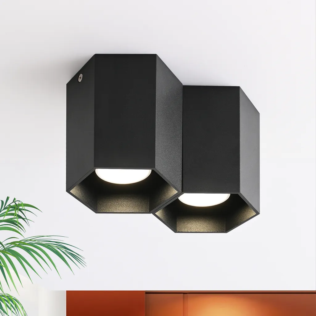 ZMH Plafoniera Nera 2 Fiamme GU10: Faretto Soffitto Moderno per Interni
