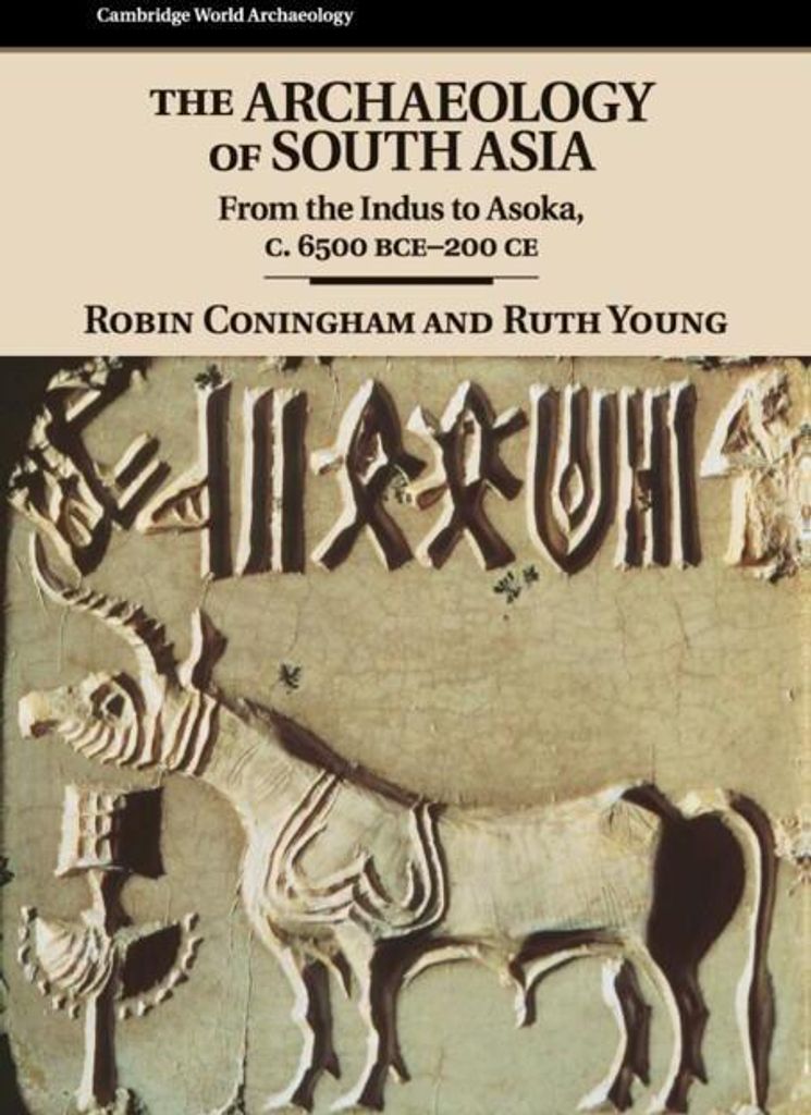 The Archaeology of South Asia