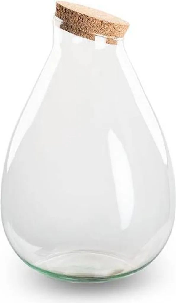 Grand Terrarium en verre 37 cm avec bouchon liège, parfait pour DIY