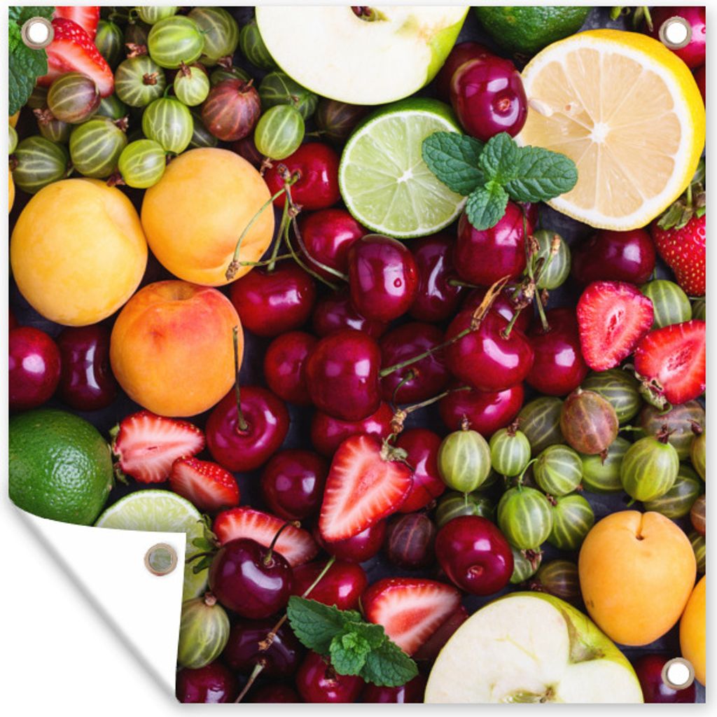 MuchoWow 50x50 cm Outdoor-Poster Gartendeko Sichtschutz Garten Poster für den Garten Obst - Farben - Sommer