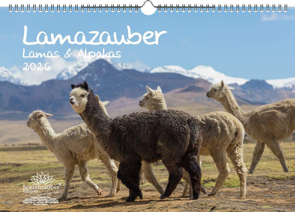 Lamazauber DIN A3 Kalender für 2026 Lama Alpaka - Seelenzauber