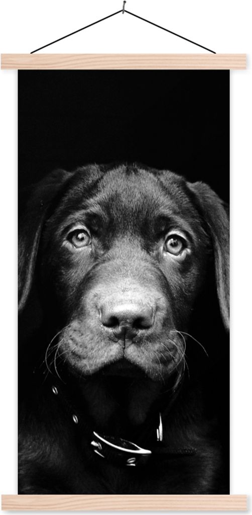 MuchoWow Textilposter Hund - Leicht - Schwarz 40x80 cm mit holzfarbenen Rahmen - Wohnzimmer