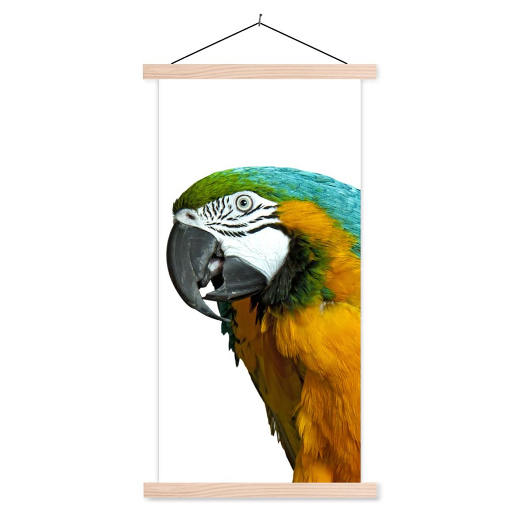 MuchoWow Textilposter Papagei - Vogel - Federn - Porträt 40x80 cm mit holzfarbenen Rahmen - Wohnzimmer