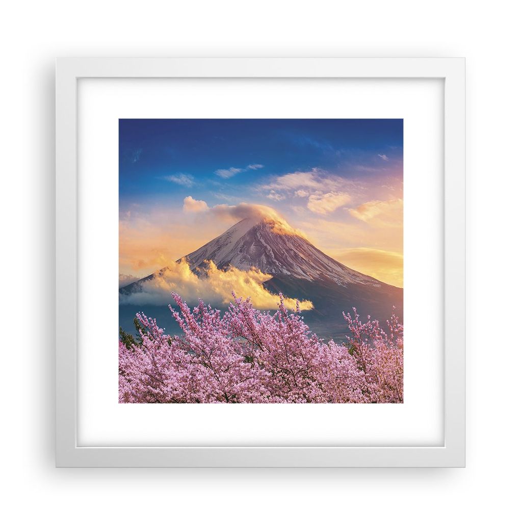 Gerahmtes Poster - Weißer Rahmen - Fuji Blume Kirsche - 30x30 cm - Wand Bild - Wanddeko - Wandbilder - Kunstposter - Wandposter - Bilderrahmen - B...