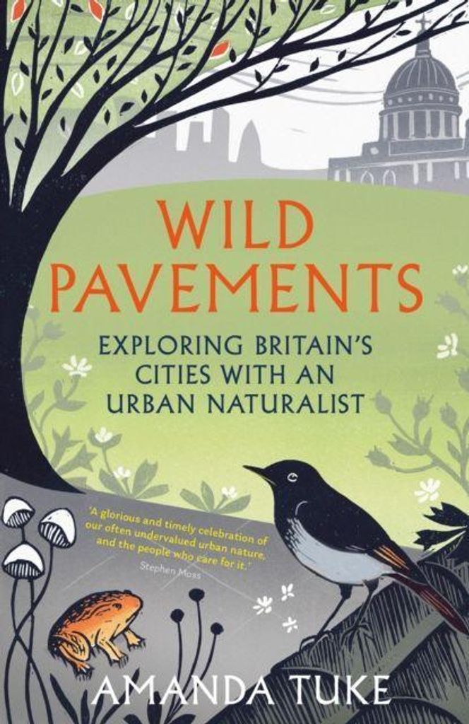 Wild Pavements
