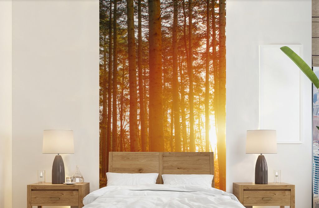 MuchoWow Fototapete für Wohnzimmer oder Schlafzimmer Wandtapete Vinyl Motivtapete Herbst - Wald - Sonne - 120x240 cm - Hintergrundbild