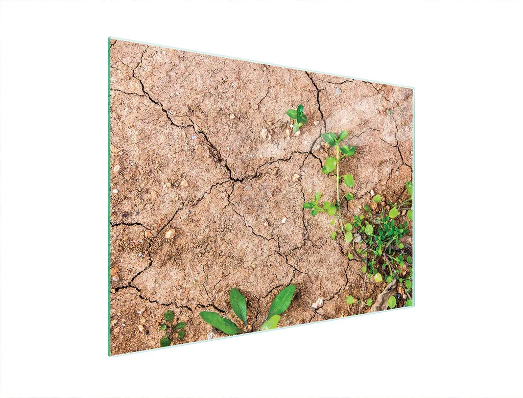 Tagliere Vetro Igienico 40x30 | Antimacchia e Antiodore Piante