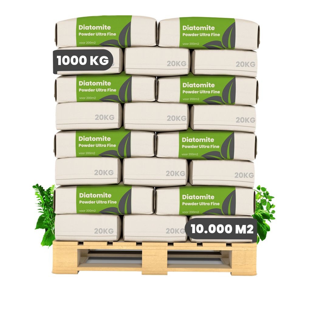 Kieselgur – 100 % rein – ultrafeines Pulver (100 x = 1000 kg)