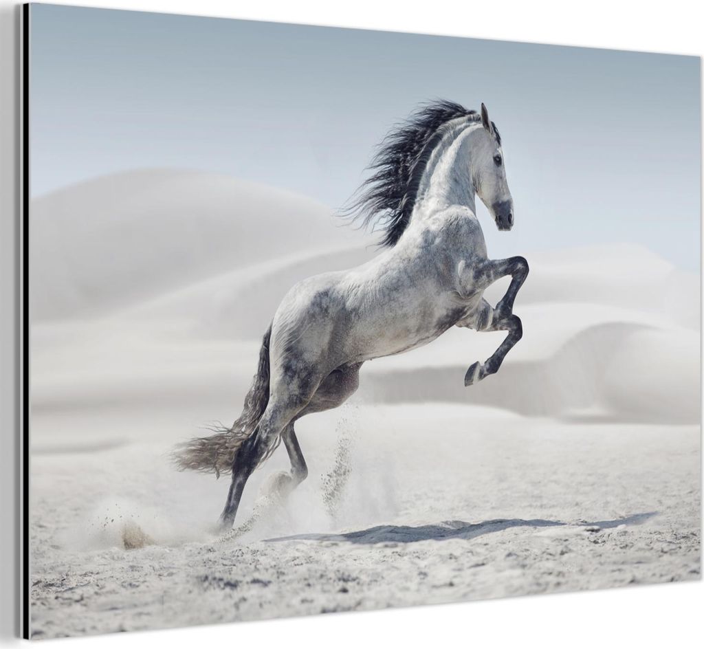 MuchoWow Wanddekoration Metall Metallbild Wandkunst 90x60 cm Pferd - Tiere - Sand - Natur MuchoWow Aluminium Gemälde - Wandbilder