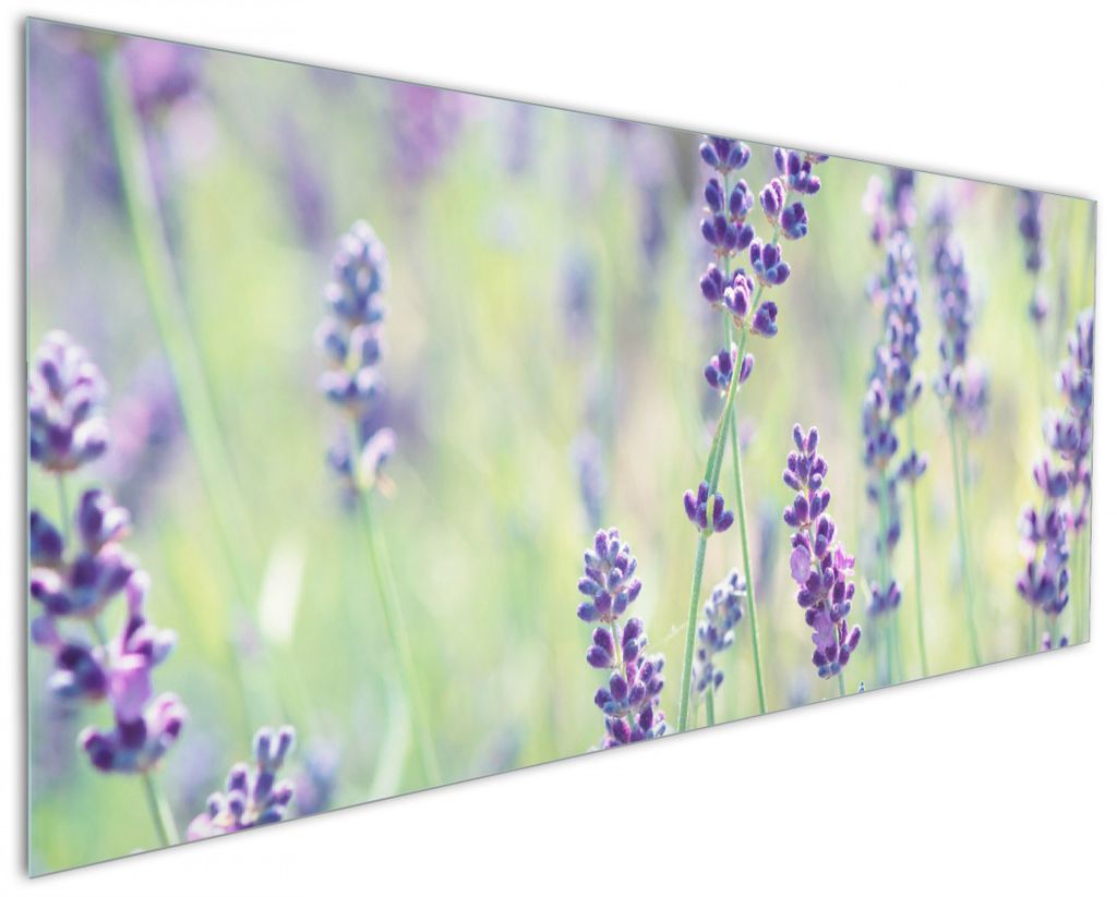 Wallario Küchenrückwand aus Glas, Größe: 125 x 50 cm, Motiv: Lila Blumenfreude - Violette Pflanzen auf der Wiese | Spritzschutz | abwischbar | ...