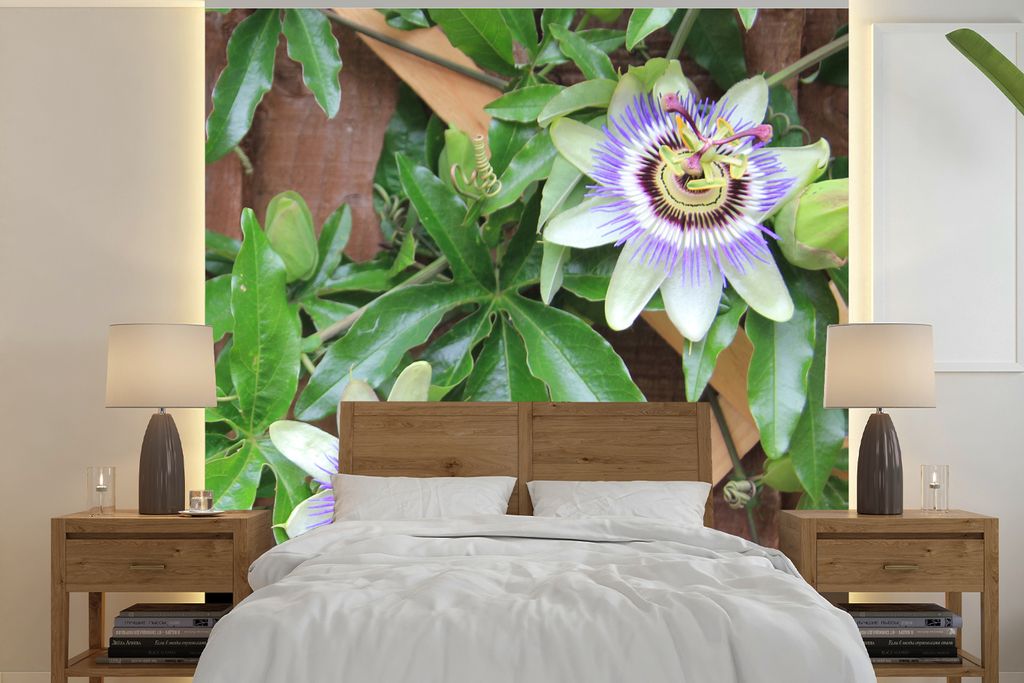 MuchoWow Fototapete für Wohnzimmer oder Schlafzimmer Wandtapete Vinyl Motivtapete Blühende lila Passionsblumen - 280x280 cm - Hintergrundbild