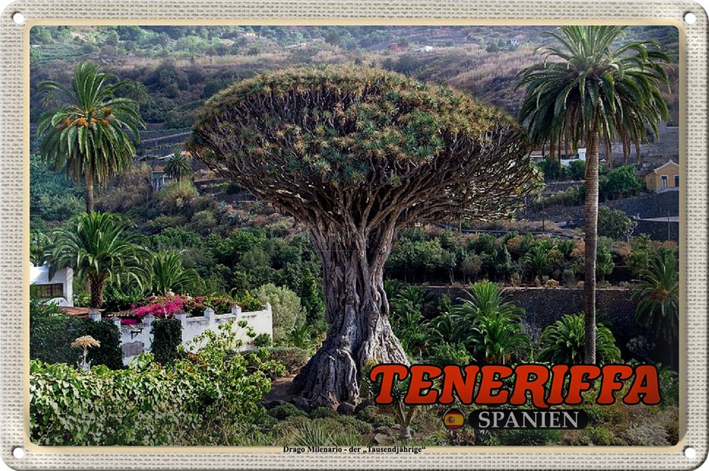 Blechschild Reise 18x12cm Teneriffa Drago Milenario-Tausendjährige