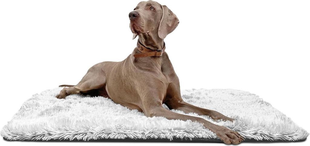 tierlando Hundeliegedecke SHARY kuscheliger Zottelplüsch flauschiger Langfloor - Größe: 100x70cm | Farbe: 20 Weißgrau