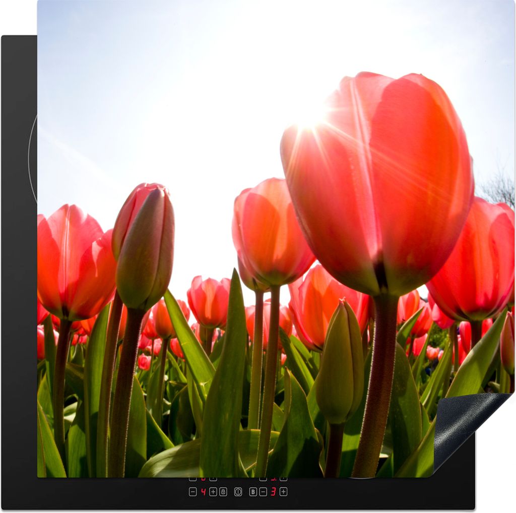 KitchenYeah Herdabdeckplatte Blumen - Tulpen - Sonne , 78x78cm, Küche Deko, Glaskeramikkochfeld Herdabdeckung, Abdeckplatte fùr Kochfeld