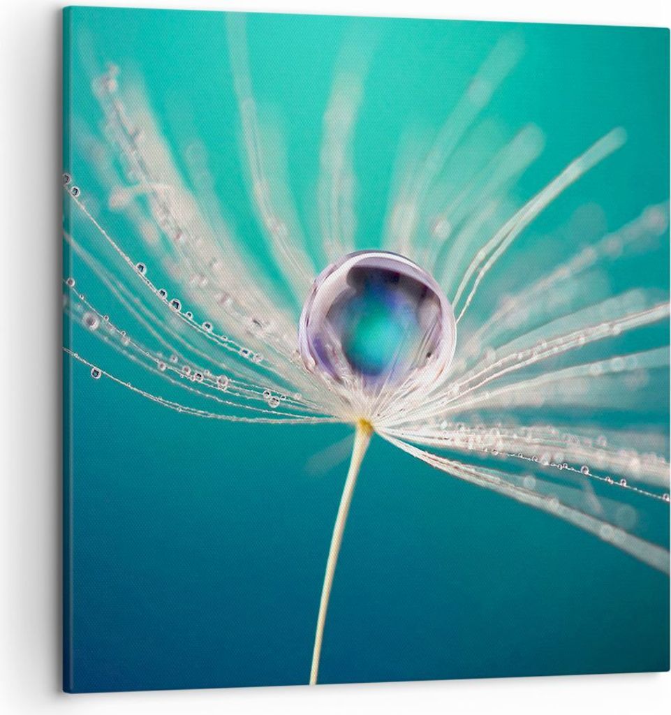 Bild auf Leinwand - Leinwandbild - Pflanze Natur - 50x50cm - Wand Bild - Wanddeko - Wandbilder - Leinwanddruck - Bilder - Kunstdruck - Wanddekorati...