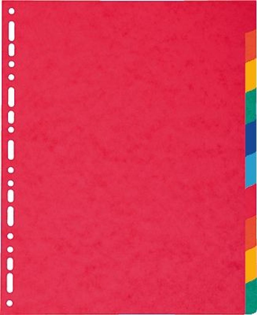 Exacompta Register XXL 2410E DIN A4 Manila-Karton 225g 10-tlg farbig