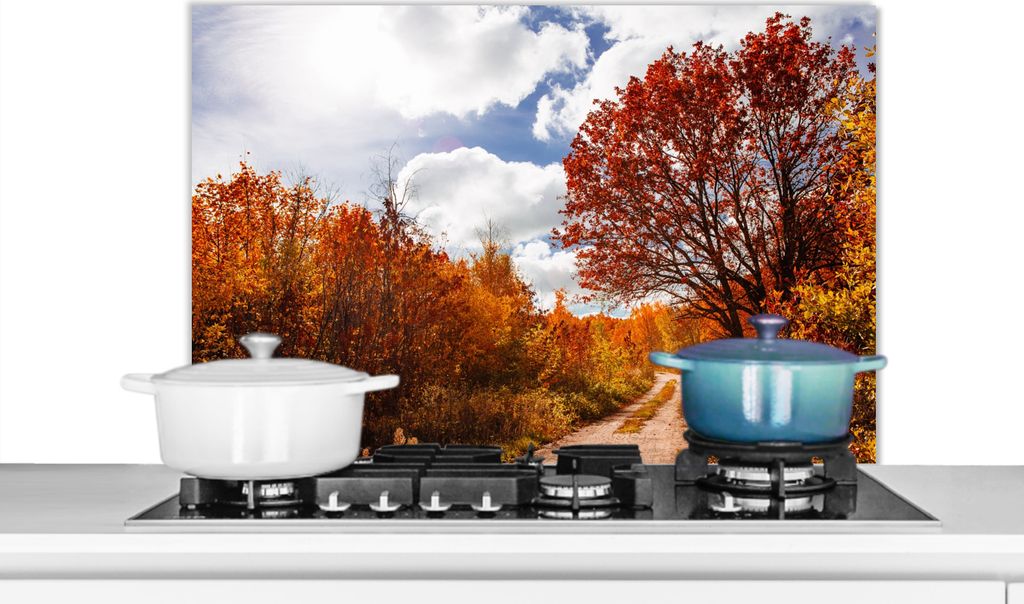KitchenYeah Spritzschutz Küche - Küchenrückwand - Wandschutz für Herd und Spüle - Baum - Weg - Herbst 80x55 - Alu-Dibond (Alternative zum Sp...