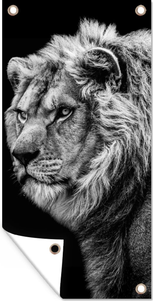 MuchoWow 80x160 cm Outdoor-Poster Gartendeko Sichtschutz Garten Poster für den Garten Löwe - Porträt - Wildtiere - Schwarz - Weiß