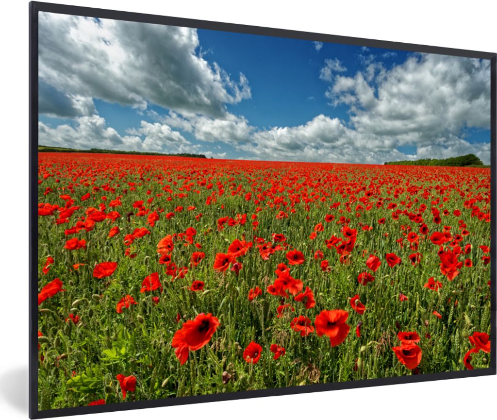 MuchoWow MuchoWow Gerahmtes Poster Schneeweiße Wolken über einem Mohnblumenfeld 30x20 cm - Poster mit zchwarzem Bilderrahmen - Kunstdruck - B...