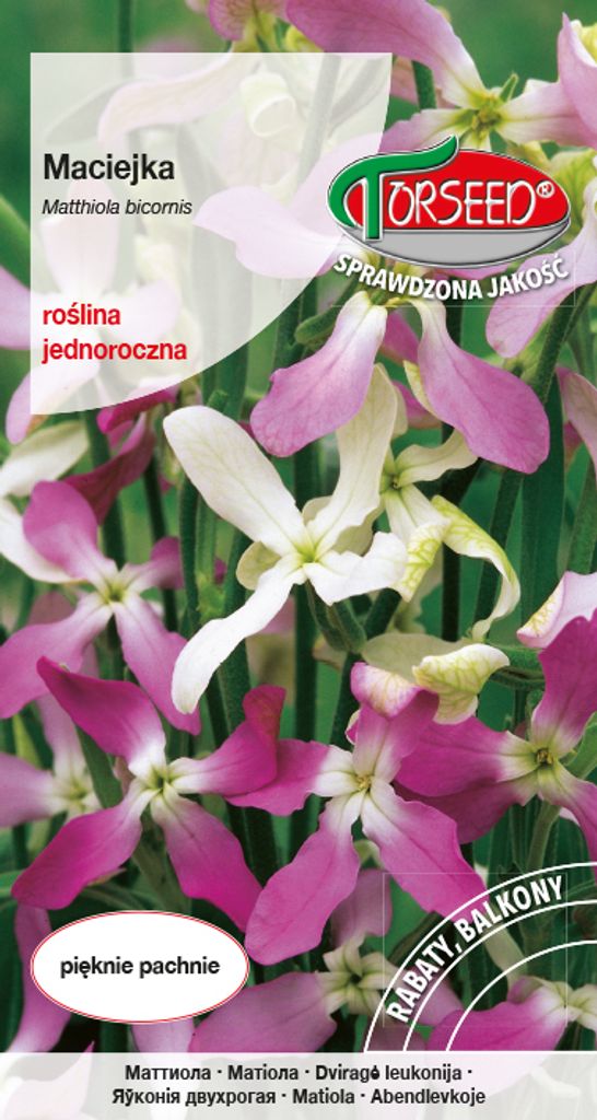 Samen von Maciejka rosa 3g - Torseed Produktbild 