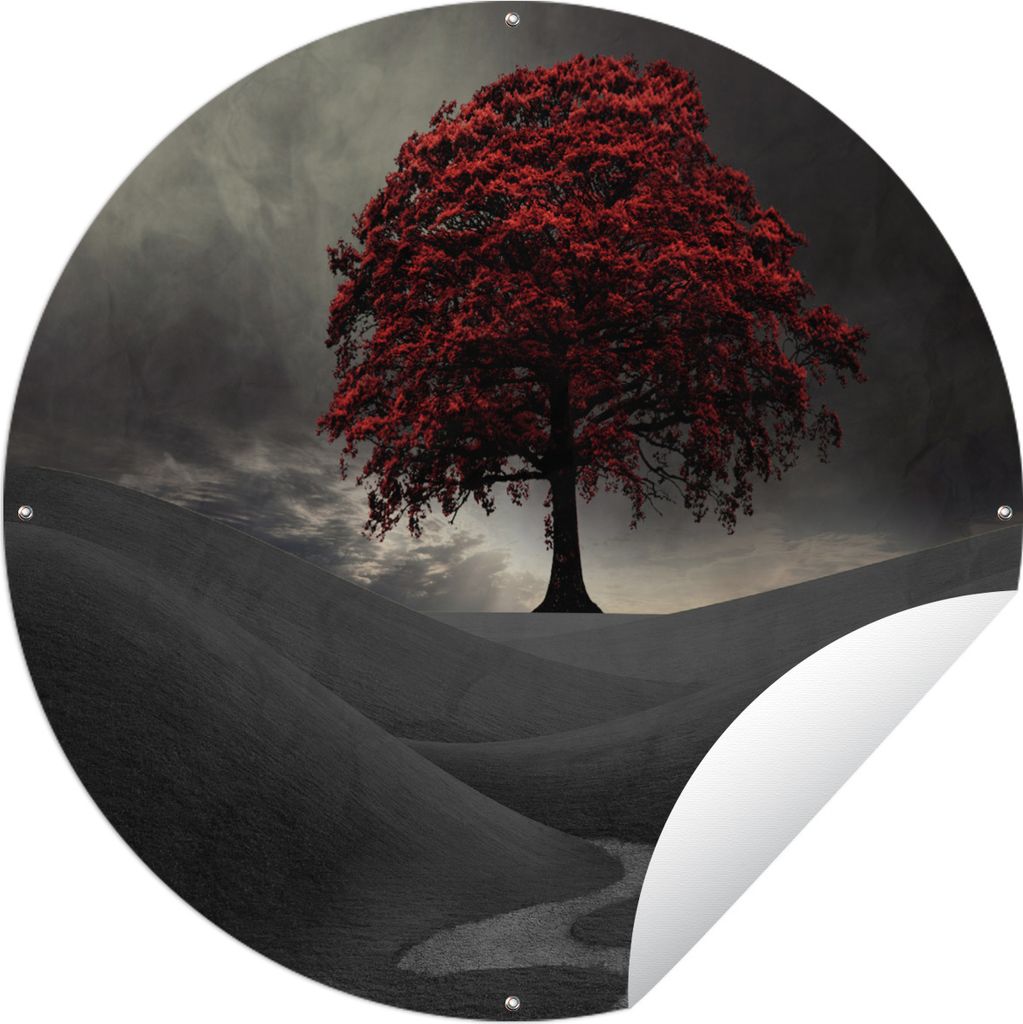 MuchoWow Gartenposter Outdoor-Poster Rund Ein Schwarz-Weiß-Foto mit einem großen roten Baum Ø 150 cm Gartendeko Rundes Poster draußen