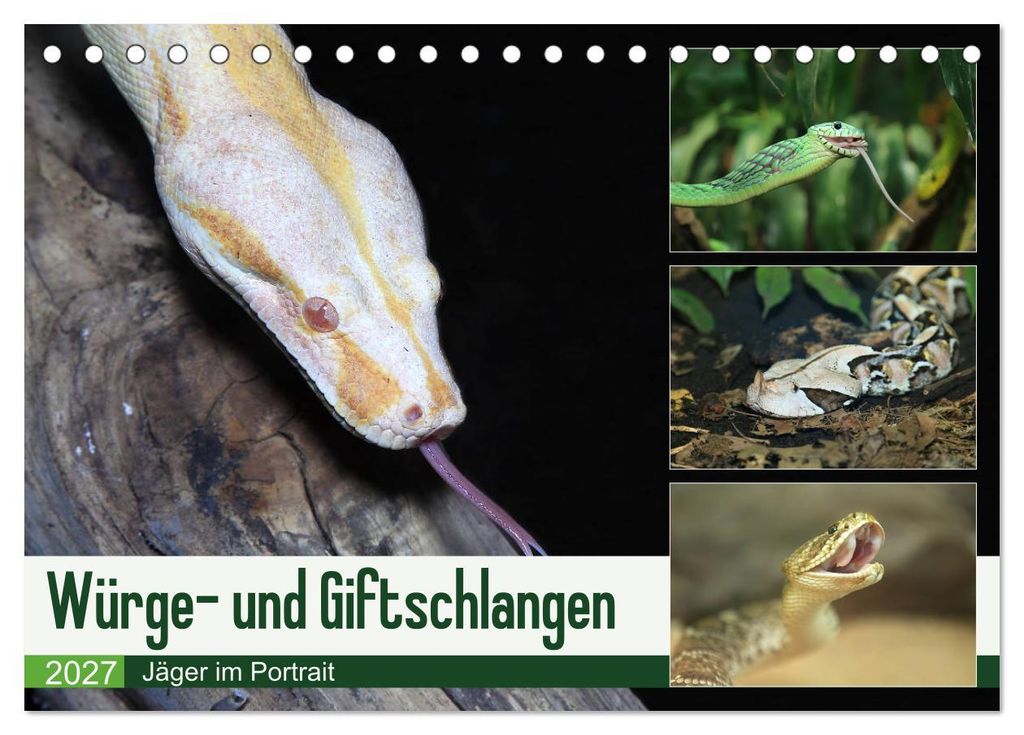 Würge- und Giftschlangen (Tischkalender 2027 DIN A5 quer), CALVENDO Monatskalender