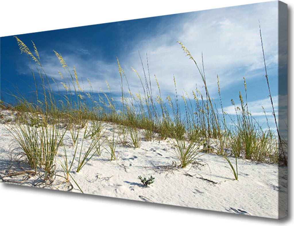 Tulup Leinwand-Bilder 100x50 Wandbild Canvas Kunstdruck Strand Landschaft