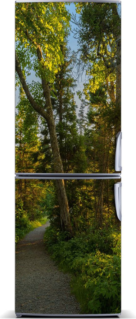 Tulup Kühlschrankdekoration - Magnetmatte - 60 cm x 180 cm - Magnet auf dem Kühlschrank - Der Weg In Den Wald