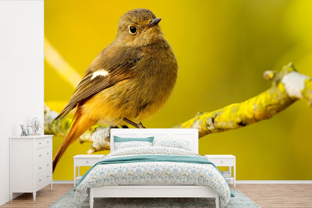 MuchoWow Fototapete für Wohnzimmer oder Schlafzimmer Wandtapete Vinyl Motivtapete Tiere - Vogel - Zweig - 450x300 cm - Gemusterte