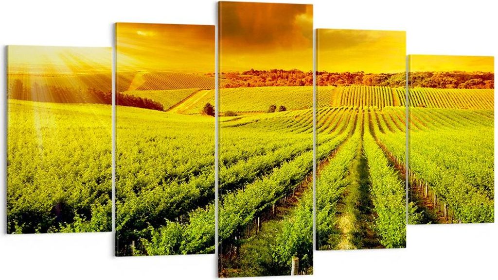 Bild auf Leinwand - Leinwandbild - Land Weingut Pflanzung - 160x85cm - Wand Bild - Wanddeko - Leinwanddruck - Bilder - Kunstdruck - Wanddekoration ...