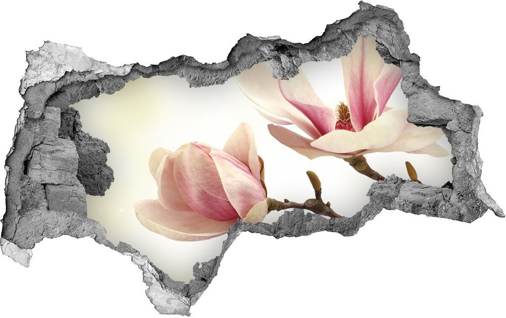 Selbstklebender Loch-3D-Aufkleber 95x73 cm Magnolie
