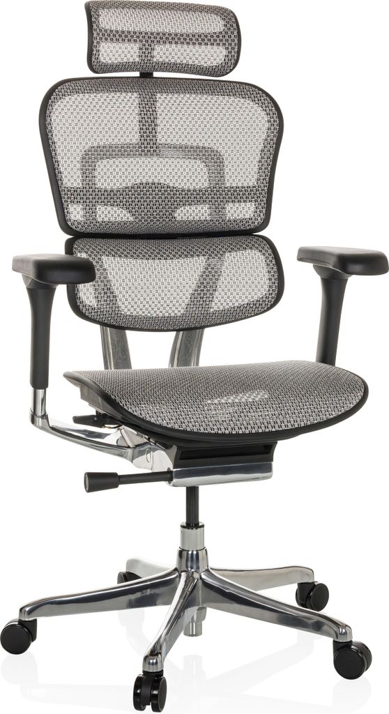 hjh OFFICE Luxus Chefsessel ERGOHUMAN GEN2 Ergonomischer Bürostuhl mit Armlehnen (höhenverstellbar) Netzstoff Drehstuhl für Büro, Zuhause