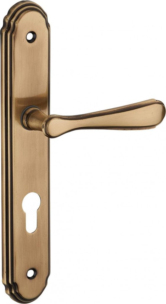 Ensemble de poignées pour porte d'entrée Arthemis trou de Image du produit 