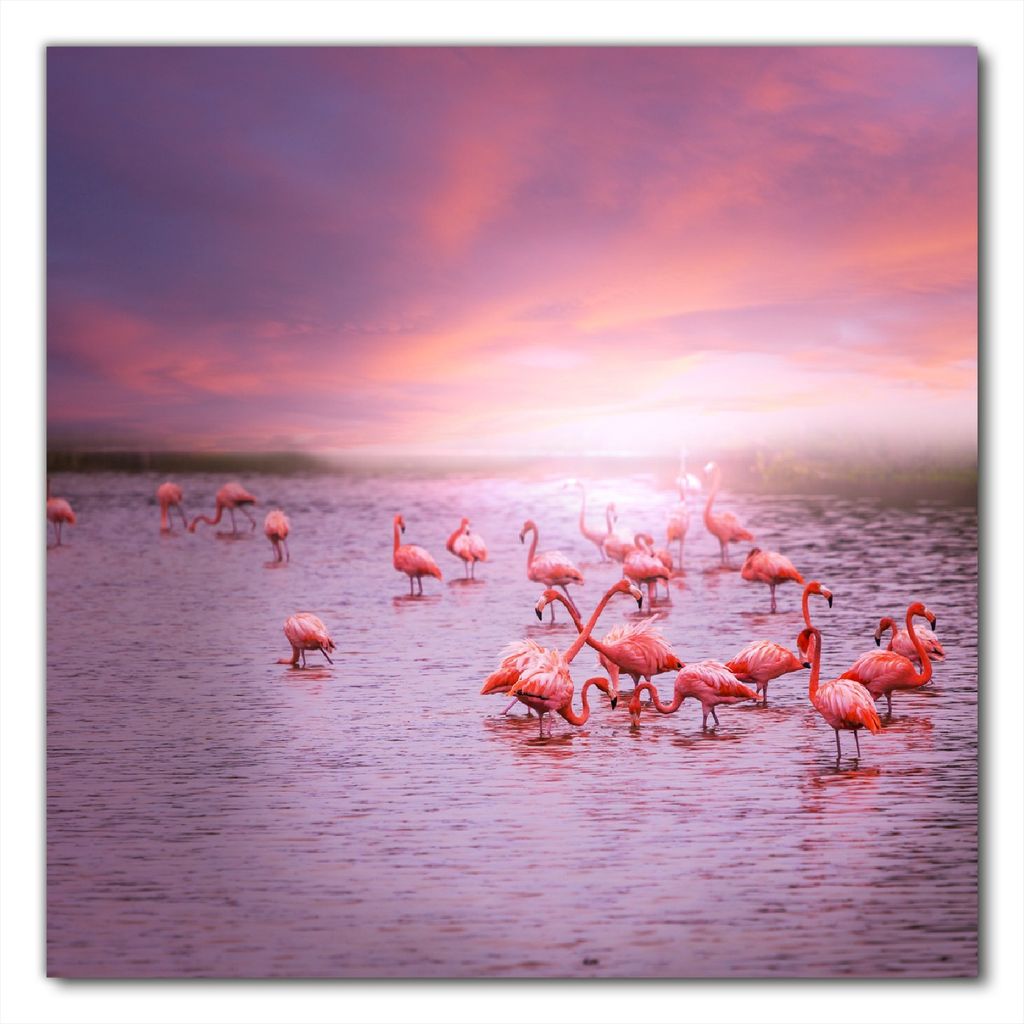Wallario selbstklebende Möbelfolie/ Tischdecke für Innen und Außen, Größe: 100 x 100 cm - Rosa Flamingos bei Sonnenuntergang