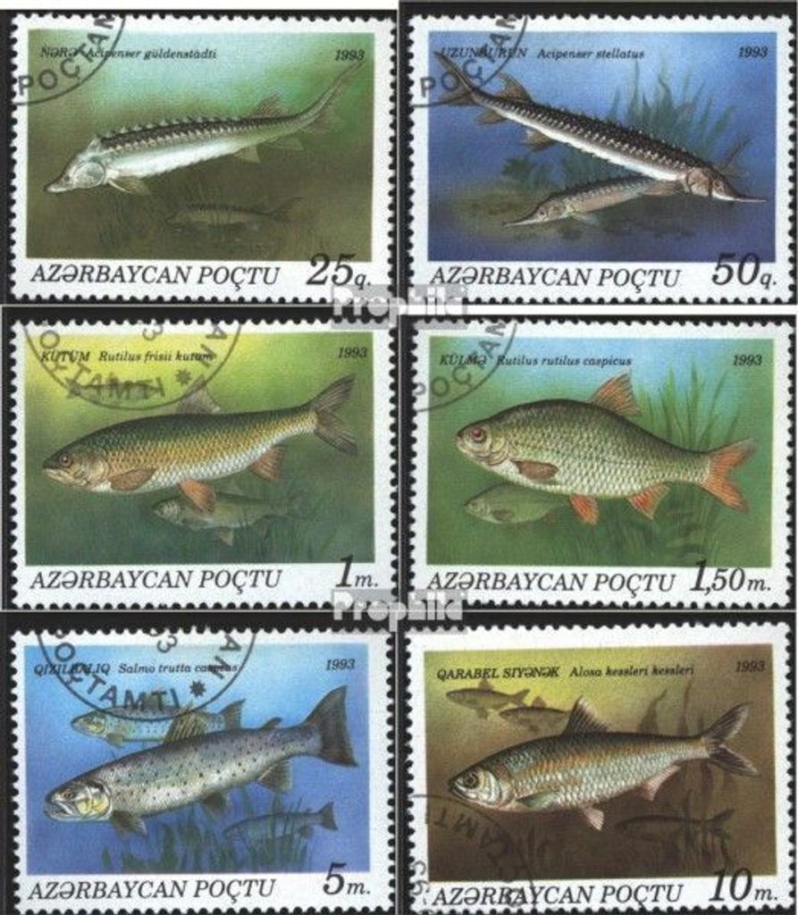 Briefmarken Aserbaidschan 1993 Mi 98-103 (kompl.Ausg.) gestempelt Fische