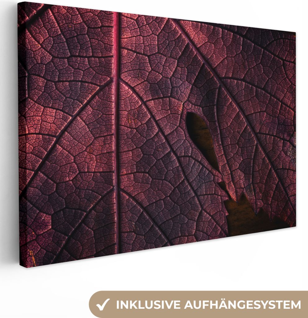 OneMillionCanvasses - Leinwandbilder - 150x100 cm, Abstrakt - Rot - Blätter - Pflanze, Wandbilder Kunstdruck Wanddekoration - Foto auf Leinwand ...