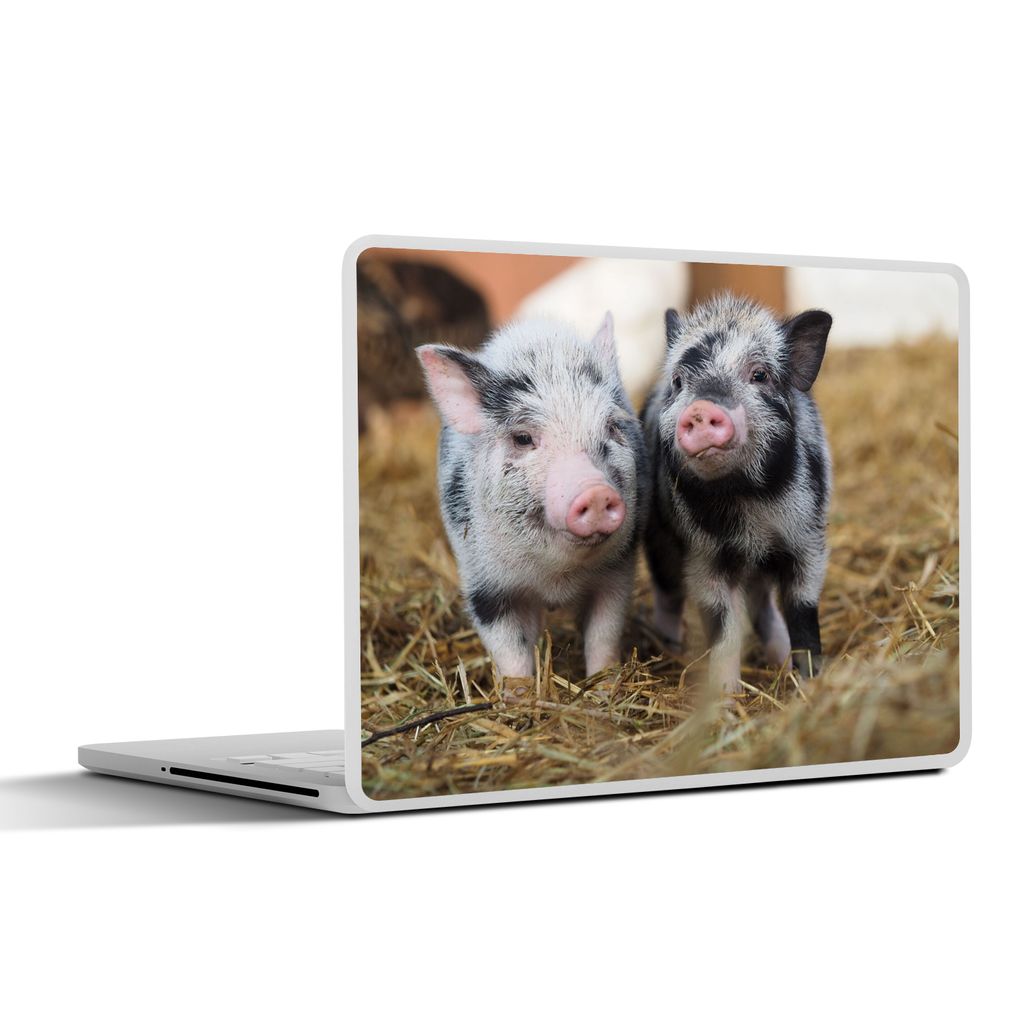 MuchoWow Laptop Aufkleber Sticker Cover Schwein - Tiere - Ferkel 32.5x23.5 cm - Sticker für Laptop - Selbstklebend