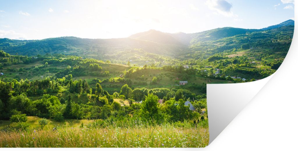 MuchoWow Wandtattoo Wandsticker Wandaufkleber Wald - Landschaft - Sonne - Natur - Sonnenaufgang 40x20 cm Selbstklebend und Repositionierbar - Auf...
