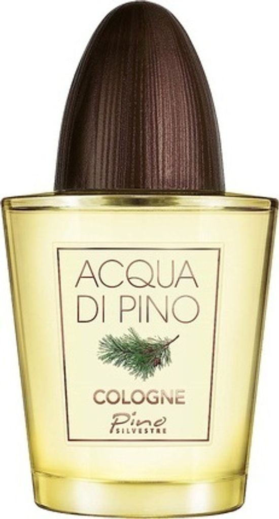 Pino Silvestre Acqua di Pino Fougère woda toaletowa 125 ml Zdjęcie produktu 