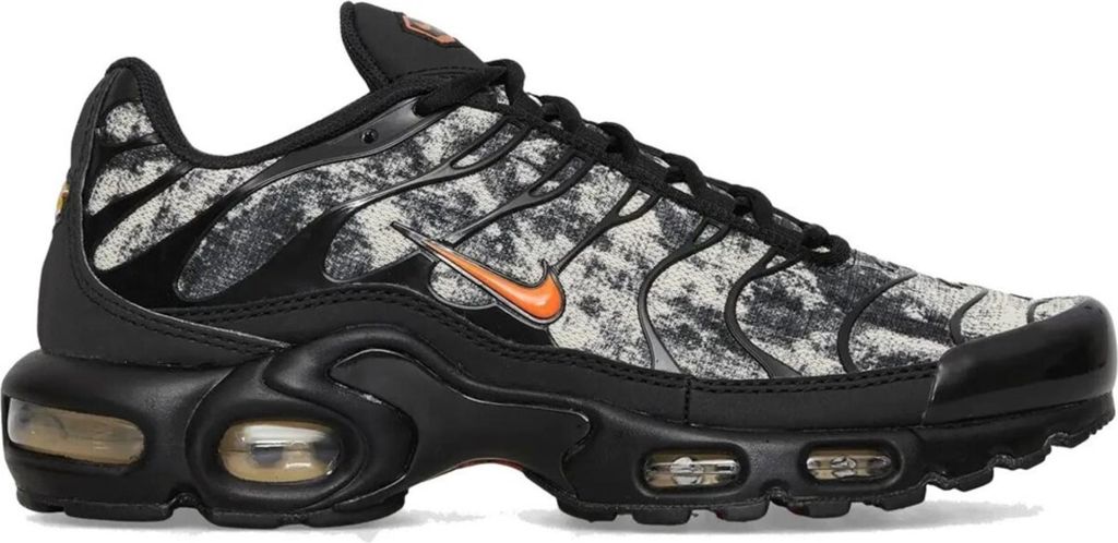 Schuhe Nike Air Max Plus FV6913001