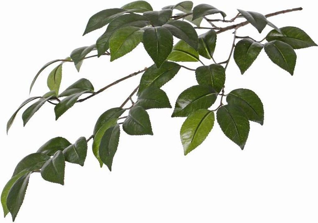 artplants.de Deko Zweig Kamelienzweig Raven, grün, 70cm