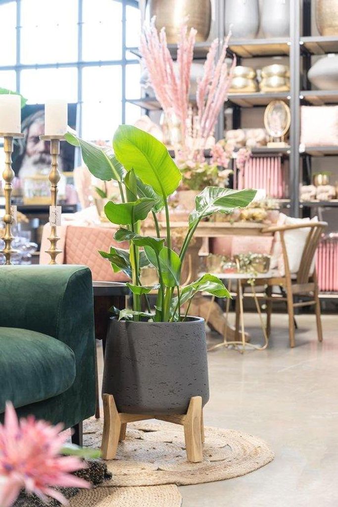 Handgemaakte plantenbak op houten poten – Ø 20,5 cm, H 21 cm, zwart