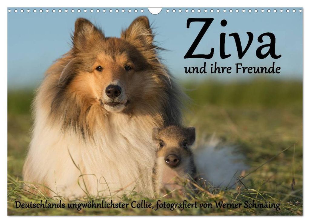 Ziva und ihre Freunde (Wandkalender 2027 DIN A3 quer), CALVENDO Monatskalender