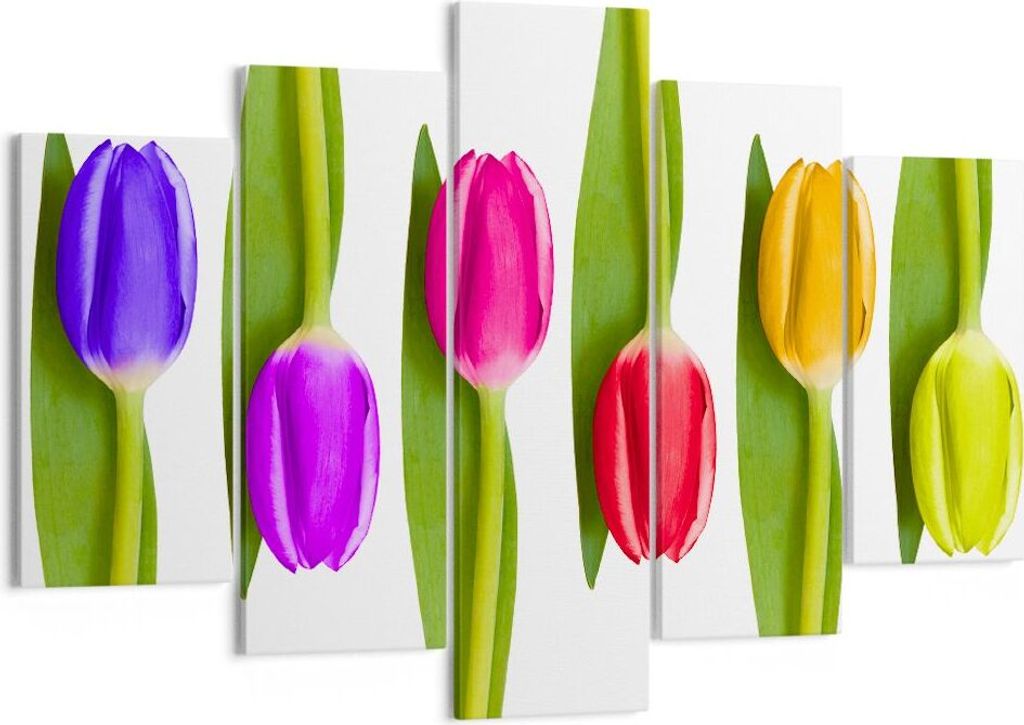 Bild auf Leinwand - Leinwandbild - Tulpe Blume Garten Komposition - 150x100cm - Wand Bild - Wanddeko - Leinwanddruck - Bilder - Kunstdruck - Leinwa...