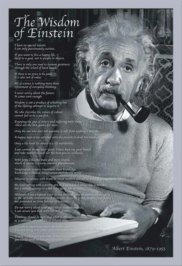 Quadro Albert Einstein Wisdom: Cornice Argento Shinsuke e Poster 61x91