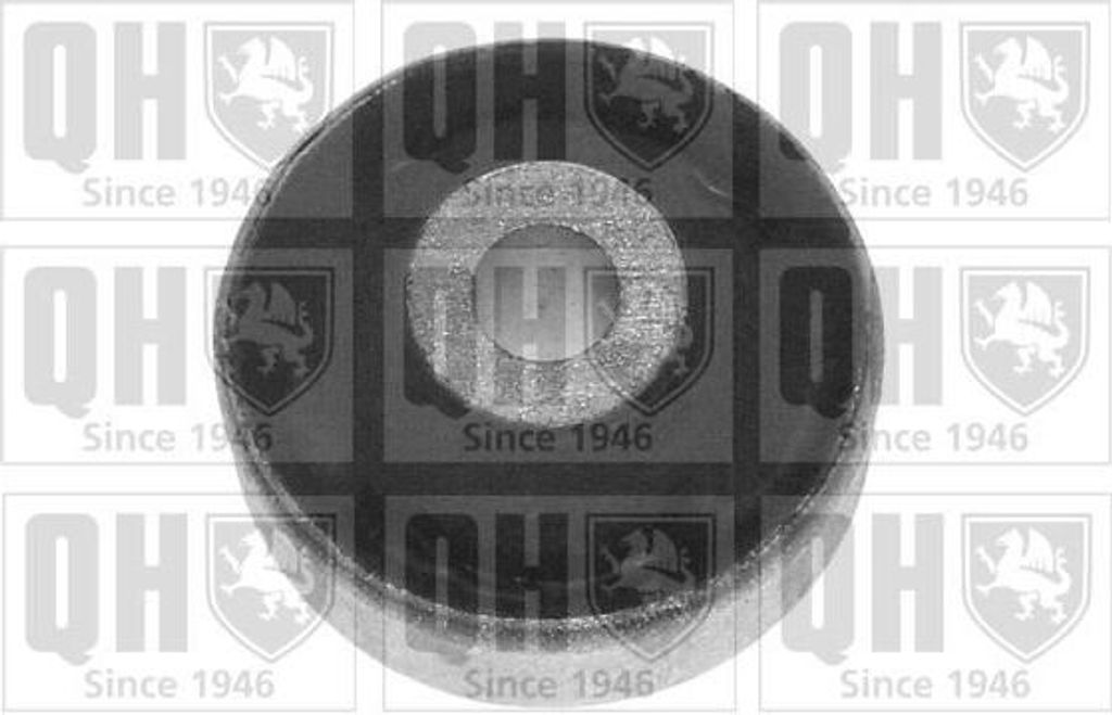 Lagerung Lenker für Querlenker für VW Golf IV Schrägheck (1J1) EMS2659 QUINTON HAZELL