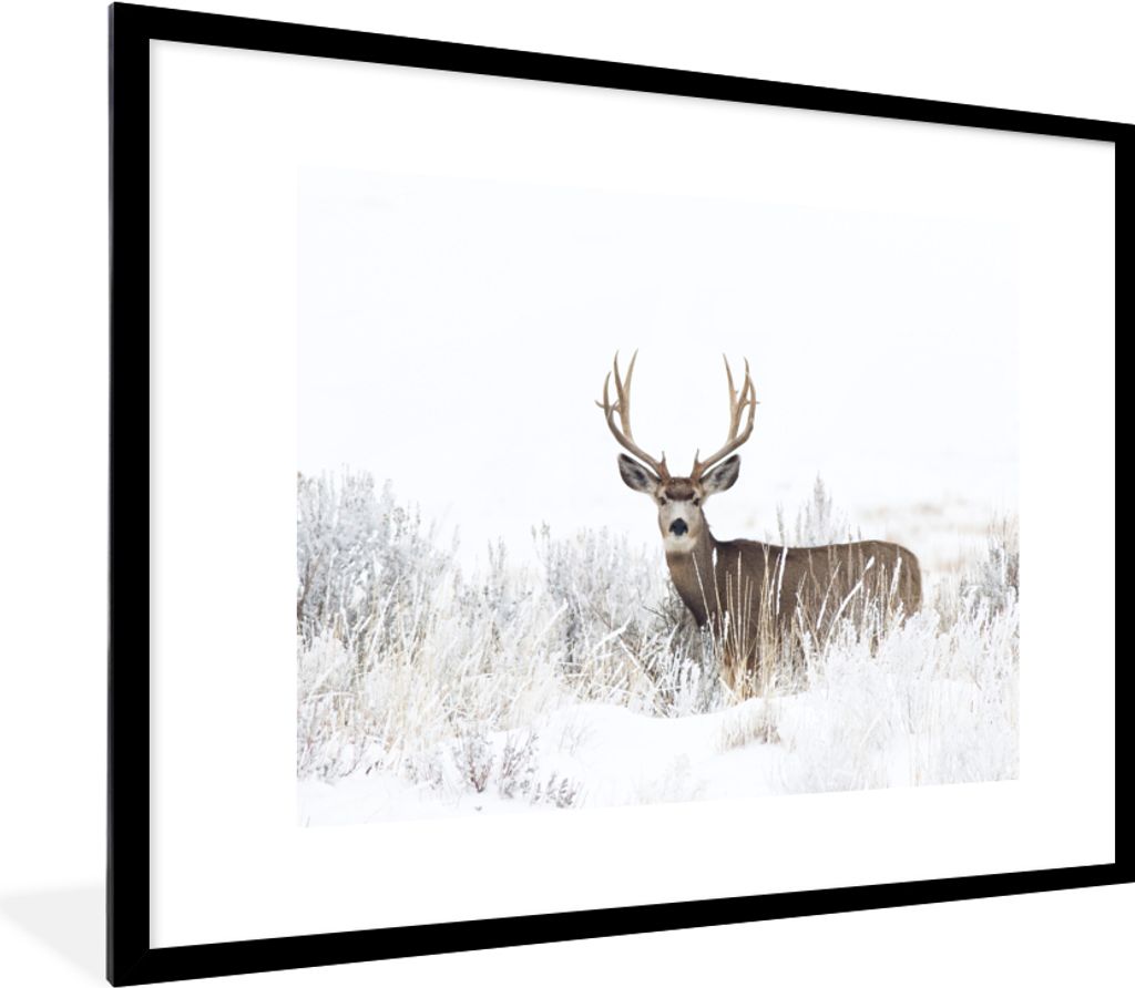 MuchoWow® Gerahmtes Poster Hirsche - Winter - Schnee - Produktbild 