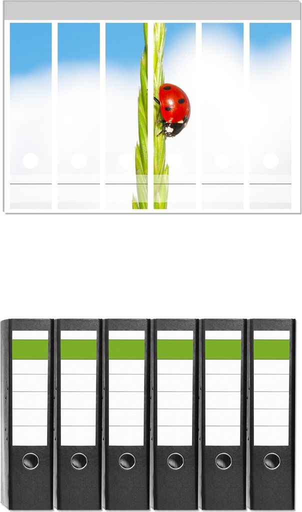 Wallario 6 Stück breite Ordner inkl. Klebeetiketten mit Motive Marienkäfer am Korn - Set mit Rückenschildern / Ordnerrücken Stickern