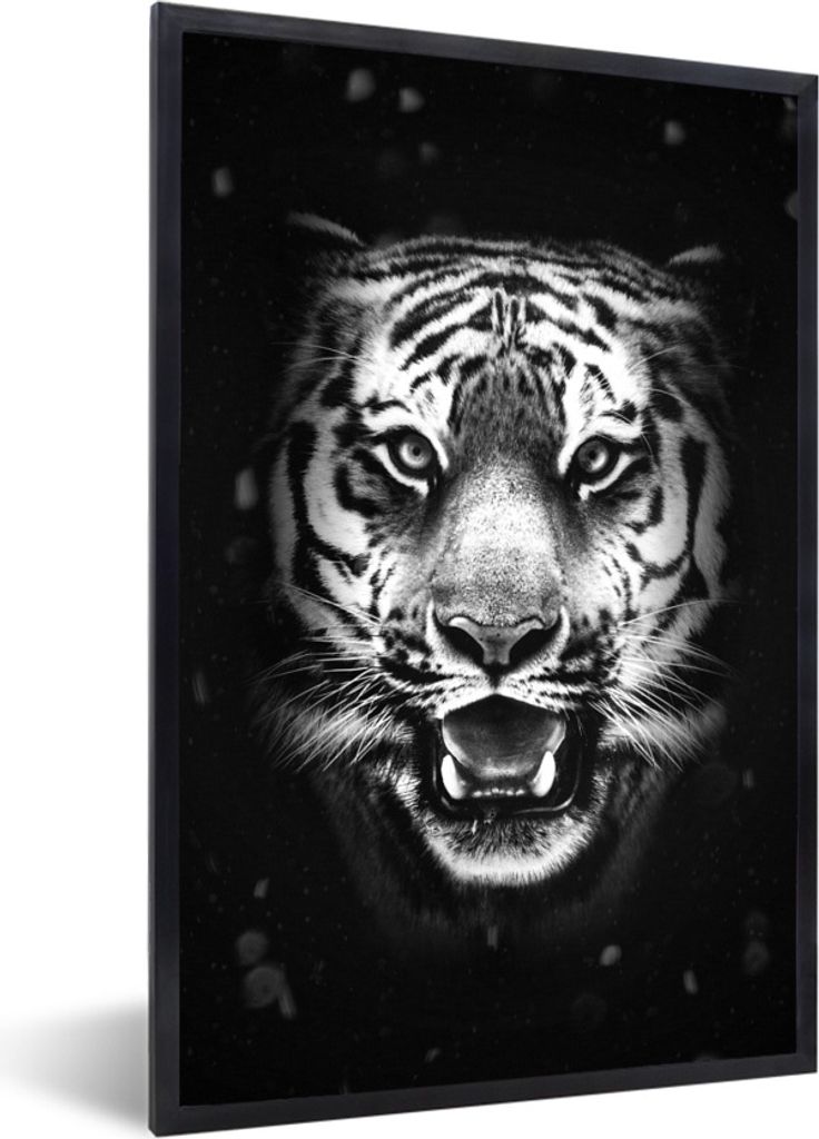 MuchoWow Gerahmtes Poster Tigerkopf vor schwarzem Hintergrund - schwarz und weiß 60x90 cm - Poster mit Schwarzem Bilderrahmen Wandposter Rahmen ...
