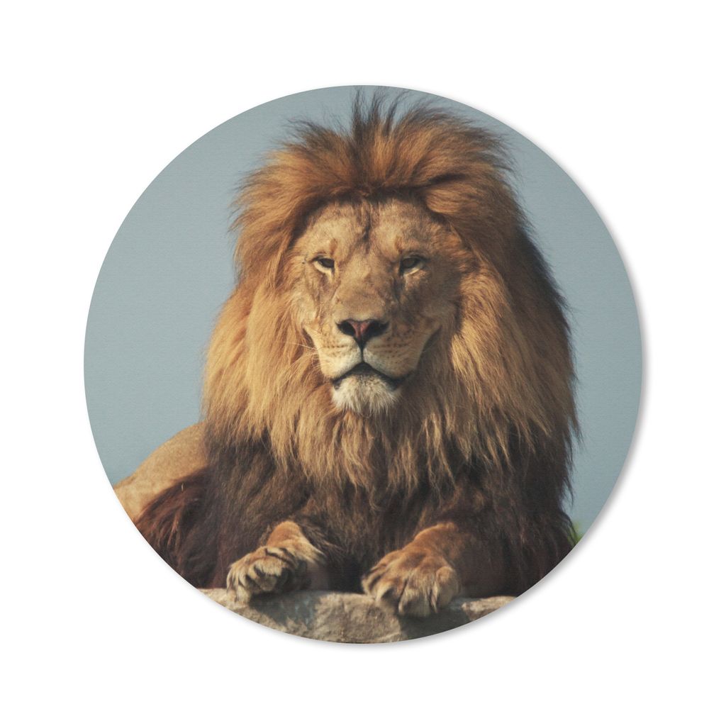 MuchoWow Mauspad Mousepad Löwe - Felsen - Porträt 50x50 cm - Mousepads - Maus Mat - Pad - Mausunterlage - Vinyl